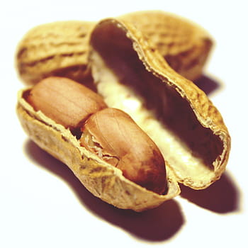 Cómo sembrar almendros amargos